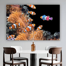 Lade das Bild in den Galerie-Viewer, Acrylglasbild Clownfische schwimmen im lebendigen Korallenriff Querformat