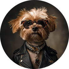 Lade das Bild in den Galerie-Viewer, Aluminiumbild gebürstet Cooler kleiner Hund mit Lederjacke und Brille Kreis