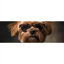 Lade das Bild in den Galerie-Viewer, Aluminiumbild gebürstet Cooler kleiner Hund mit Lederjacke und Brille Panorama