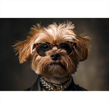 Lade das Bild in den Galerie-Viewer, Poster Cooler kleiner Hund mit Lederjacke und Brille Querformat