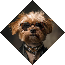 Lade das Bild in den Galerie-Viewer, Leinwandbild Cooler kleiner Hund mit Lederjacke und Brille Raute