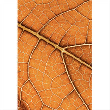 Lade das Bild in den Galerie-Viewer, Spannrahmenbild Detailansicht eines herbstlichen Blattes Hochformat