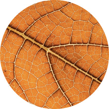 Lade das Bild in den Galerie-Viewer, Aluminiumbild gebürstet Detailansicht eines herbstlichen Blattes Kreis
