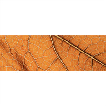 Lade das Bild in den Galerie-Viewer, Aluminiumbild Detailansicht eines herbstlichen Blattes Panorama