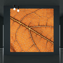 Lade das Bild in den Galerie-Viewer, Poster Detailansicht eines herbstlichen Blattes Quadrat