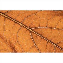 Lade das Bild in den Galerie-Viewer, Leinwandbild Detailansicht eines herbstlichen Blattes Querformat