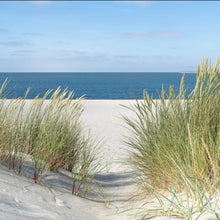 Lade das Bild in den Galerie-Viewer, Poster Dünen an der Nordsee Quadrat