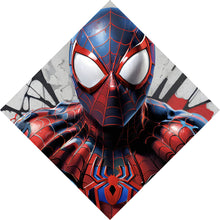 Lade das Bild in den Galerie-Viewer, Aluminiumbild Superheld Spider Raute