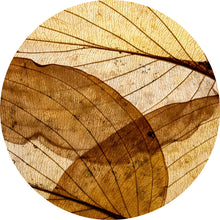 Lade das Bild in den Galerie-Viewer, Aluminiumbild Edle Blattstruktur im Herbst Kreis