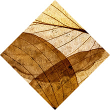 Lade das Bild in den Galerie-Viewer, Aluminiumbild Edle Blattstruktur im Herbst Raute