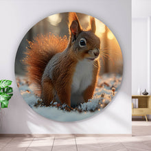 Lade das Bild in den Galerie-Viewer, Aluminiumbild Eichhörnchen im verschneiten goldenen Morgenlicht Kreis