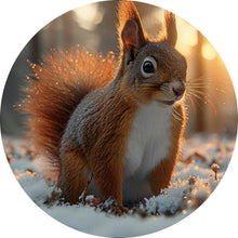 Lade das Bild in den Galerie-Viewer, Aluminiumbild gebürstet Eichhörnchen im verschneiten goldenen Morgenlicht Kreis