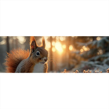 Lade das Bild in den Galerie-Viewer, Poster Eichhörnchen im verschneiten goldenen Morgenlicht Panorama