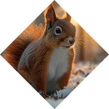 Lade das Bild in den Galerie-Viewer, Poster Eichhörnchen im verschneiten goldenen Morgenlicht Raute