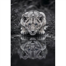 Lade das Bild in den Galerie-Viewer, Leinwandbild Eindrucksvolles Löwenjunges Spiegelbild Hochformat