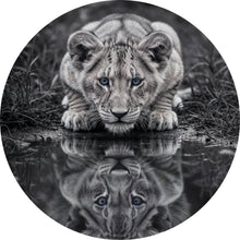 Lade das Bild in den Galerie-Viewer, Aluminiumbild gebürstet Eindrucksvolles Löwenjunges Spiegelbild Kreis