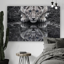 Lade das Bild in den Galerie-Viewer, Aluminiumbild Eindrucksvolles Löwenjunges Spiegelbild Querformat