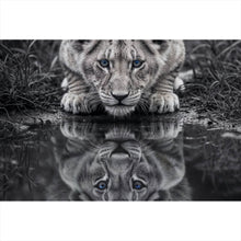 Lade das Bild in den Galerie-Viewer, Leinwandbild Eindrucksvolles Löwenjunges Spiegelbild Querformat