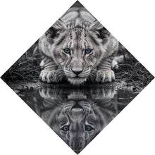 Lade das Bild in den Galerie-Viewer, Poster Eindrucksvolles Löwenjunges Spiegelbild Raute