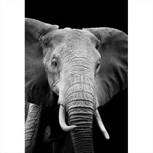 Lade das Bild in den Galerie-Viewer, Aluminiumbild gebürstet Elefant Schwarz Weiß Hochformat