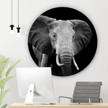 Lade das Bild in den Galerie-Viewer, Aluminiumbild gebürstet Elefant Schwarz Weiß Kreis