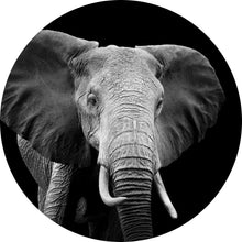 Lade das Bild in den Galerie-Viewer, Aluminiumbild Elefant Schwarz Weiß Kreis