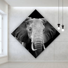 Lade das Bild in den Galerie-Viewer, Leinwandbild Elefant Schwarz Weiß Raute