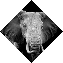 Lade das Bild in den Galerie-Viewer, Aluminiumbild gebürstet Elefant Schwarz Weiß Raute