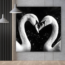 Lade das Bild in den Galerie-Viewer, Poster Elegante Schwäne formen Herzbild Quadrat