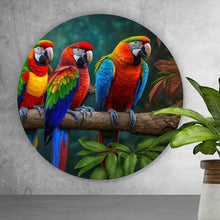 Lade das Bild in den Galerie-Viewer, Aluminiumbild gebürstet Exotische Papageien auf Ast sitzend Kreis