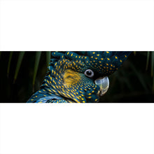Lade das Bild in den Galerie-Viewer, Spannrahmenbild Exotischer Papagei mit beeindruckendem Federkleid Panorama