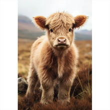 Lade das Bild in den Galerie-Viewer, Poster Flauschiges Highland Kalb auf der Weide Hochformat