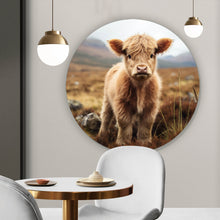 Lade das Bild in den Galerie-Viewer, Aluminiumbild Flauschiges Highland Kalb auf der Weide Kreis