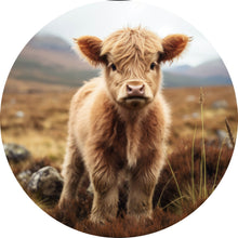 Lade das Bild in den Galerie-Viewer, Aluminiumbild Flauschiges Highland Kalb auf der Weide Kreis
