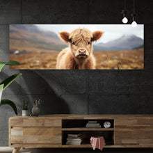 Lade das Bild in den Galerie-Viewer, Aluminiumbild Flauschiges Highland Kalb auf der Weide Panorama