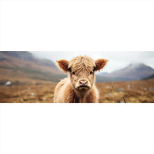 Lade das Bild in den Galerie-Viewer, Leinwandbild Flauschiges Highland Kalb auf der Weide Panorama