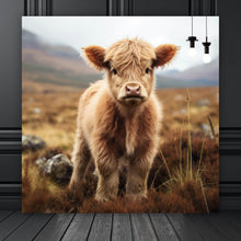 Lade das Bild in den Galerie-Viewer, Leinwandbild Flauschiges Highland Kalb auf der Weide Quadrat