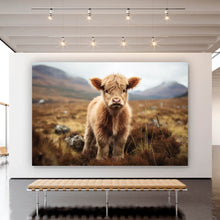 Lade das Bild in den Galerie-Viewer, Leinwandbild Flauschiges Highland Kalb auf der Weide Querformat