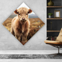 Lade das Bild in den Galerie-Viewer, Aluminiumbild gebürstet Flauschiges Highland Kalb auf der Weide Raute