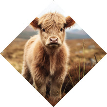 Lade das Bild in den Galerie-Viewer, Spannrahmenbild Flauschiges Highland Kalb auf der Weide Raute