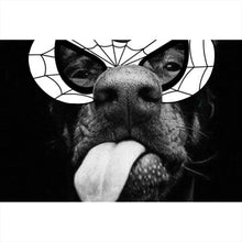 Lade das Bild in den Galerie-Viewer, Aluminiumbild gebürstet Frecher Hund mit Spiderman Maske Querformat