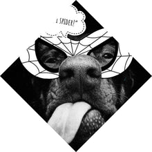 Lade das Bild in den Galerie-Viewer, Leinwandbild Frecher Hund mit Spiderman Maske Raute