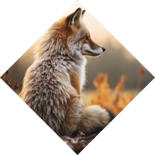 Lade das Bild in den Galerie-Viewer, Aluminiumbild Fuchs im Sonnenuntergang Raute