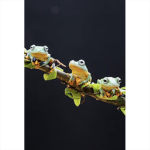 Lade das Bild in den Galerie-Viewer, Poster Fünf Frösche sitzen auf einem Ast Hochformat