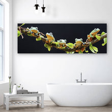 Lade das Bild in den Galerie-Viewer, Spannrahmenbild Fünf Frösche sitzen auf einem Ast Panorama