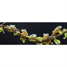 Lade das Bild in den Galerie-Viewer, Poster Fünf Frösche sitzen auf einem Ast Panorama