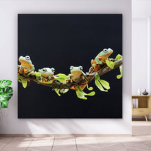 Lade das Bild in den Galerie-Viewer, Aluminiumbild Fünf Frösche sitzen auf einem Ast Quadrat