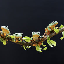 Lade das Bild in den Galerie-Viewer, Acrylglasbild Fünf Frösche sitzen auf einem Ast Quadrat