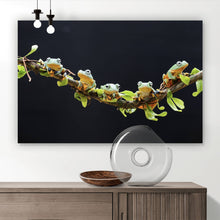 Lade das Bild in den Galerie-Viewer, Acrylglasbild Fünf Frösche sitzen auf einem Ast Querformat