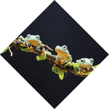 Lade das Bild in den Galerie-Viewer, Leinwandbild Fünf Frösche sitzen auf einem Ast Raute